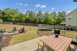 320 Eagle Pointe Dr, Chapin, SC 29036 - Photo 38