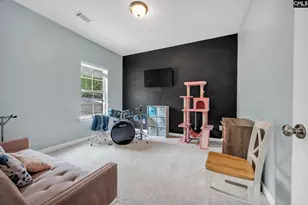 320 Eagle Pointe Dr, Chapin, SC 29036 - Photo 16