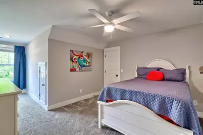 220 Jake Meetze Road, Chapin, SC 29036 - Photo 32