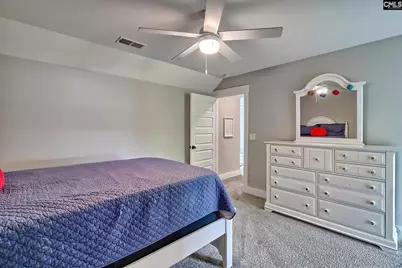 220 Jake Meetze Road, Chapin, SC 29036 - Photo 30