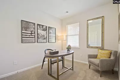 513 Chrome Horse Lane Lane, Lexington, SC 29073 - Photo 14