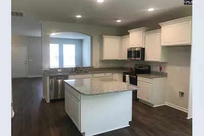 1355 Tamarind Lane, Chapin, SC 29036 - Photo 6