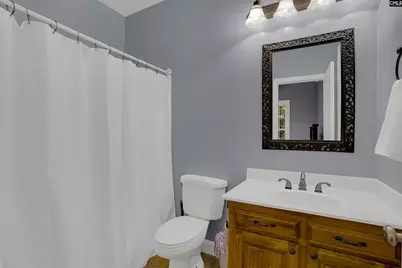 233 Mt Olivet Church Road, Chapin, SC 29036 - Photo 34