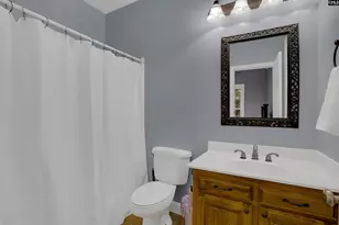 233 Mt Olivet Church Rd, Chapin, SC 29036 - Photo 34