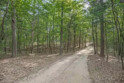 233 Mt Olivet Church Road, Chapin, SC 29036 - Photo 58