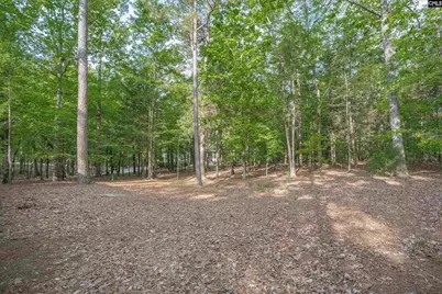 233 Mt Olivet Church Road, Chapin, SC 29036 - Photo 56