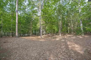 233 Mt Olivet Church Rd, Chapin, SC 29036 - Photo 56