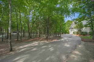 233 Mt Olivet Church Rd, Chapin, SC 29036 - Photo 54