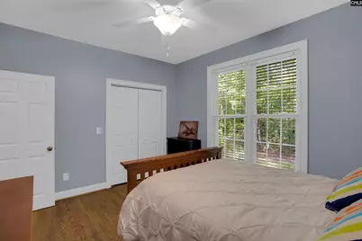 233 Mt Olivet Church Road, Chapin, SC 29036 - Photo 38