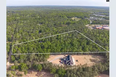 233 Mt Olivet Church Road, Chapin, SC 29036 - Photo 62