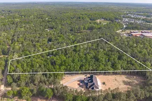 233 Mt Olivet Church Rd, Chapin, SC 29036 - Photo 62