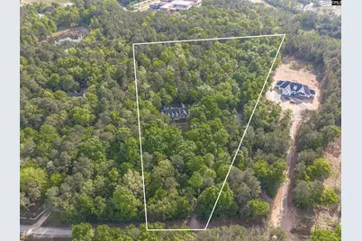 233 Mt Olivet Church Road, Chapin, SC 29036 - Photo 60