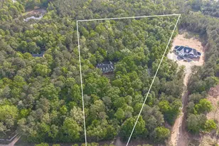 233 Mt Olivet Church Rd, Chapin, SC 29036 - Photo 60