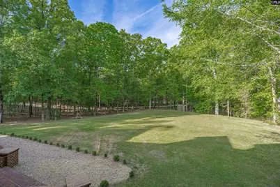 233 Mt Olivet Church Road, Chapin, SC 29036 - Photo 6