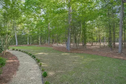 233 Mt Olivet Church Road, Chapin, SC 29036 - Photo 8