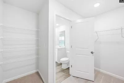 438 Edith Court, Blythewood, SC 29016 - Photo 24