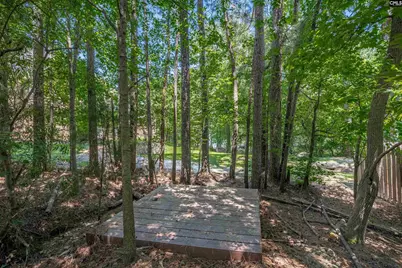 1338 Camping Road, Gilbert, SC 29054 - Photo 20