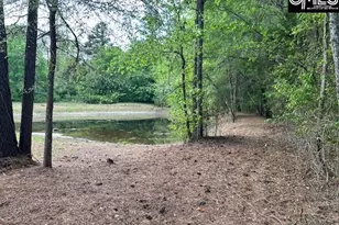 1426 W Creek Rd, Leesville, SC 29070 - Photo 12