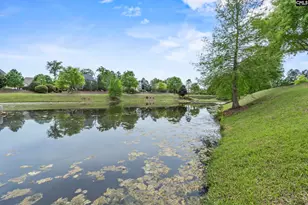 432 Sapphire Ln, Chapin, SC 29036 - Photo 44