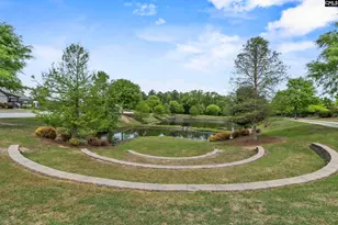432 Sapphire Ln, Chapin, SC 29036 - Photo 46