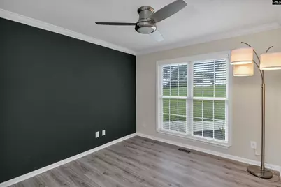 117 Bogater Road, Chapin, SC 29036 - Photo 64
