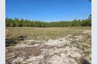 952 Mt Zion Road, Camden, SC 29020 - Photo 4