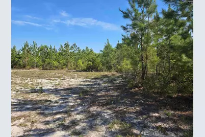 952 Mt Zion Road, Camden, SC 29020 - Photo 6