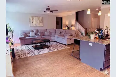 620 Chatham Way, Chapin, SC 29036 - Photo 6