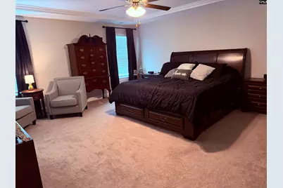 620 Chatham Way, Chapin, SC 29036 - Photo 12