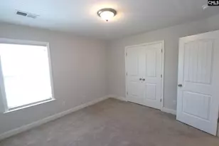 432 Thayer St, Chapin, SC 29036 - Photo 50