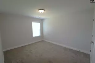 432 Thayer St, Chapin, SC 29036 - Photo 52