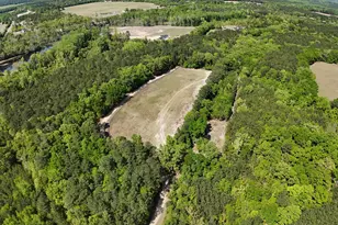 146 Williams Rd, Camden, SC 29020 - Photo 64