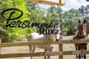 146 Williams Rd, Camden, SC 29020 - Photo 2