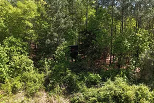 146 Williams Rd, Camden, SC 29020 - Photo 68