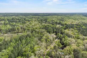 2719 Wildflower Rd, Blythewood, SC 29016 - Photo 46