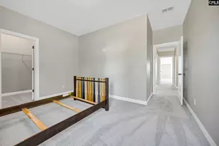 2011 Harvestwood Ln, Chapin, SC 29036 - Photo 40