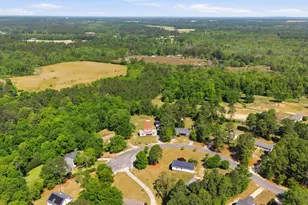 236 Drawdebil Ct, Gilbert, SC 29054 - Photo 32