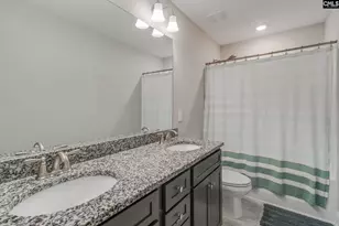 433 Thayer St, Chapin, SC 29036 - Photo 38