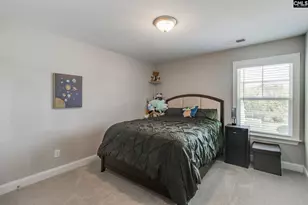 433 Thayer St, Chapin, SC 29036 - Photo 12