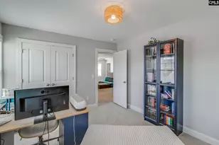 433 Thayer St, Chapin, SC 29036 - Photo 36