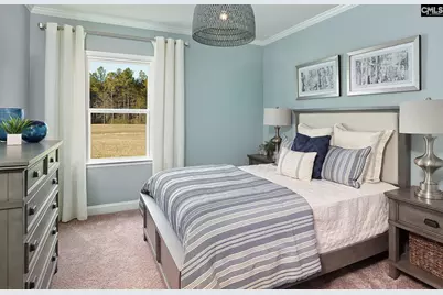 370 Mont Haven Place, Lexington, SC 29072 - Photo 10
