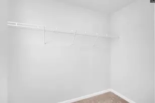 370 Mont Hvn Pl, Lexington, SC 29072 - Photo 42