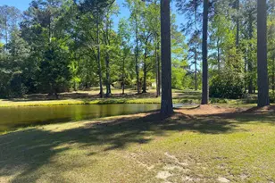 540 Little Creek Dr, Leesville, SC 29070 - Photo 52