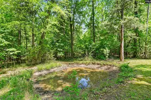 1228 Page Derrick Rd, Irmo, SC 29063 - Photo 28
