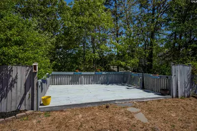 118 Harvest Grove Lane, Lexington, SC 29072 - Photo 38