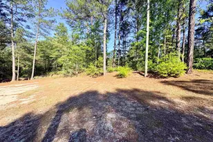102 Caledonia Ct, Leesville, SC 29070 - Photo 32