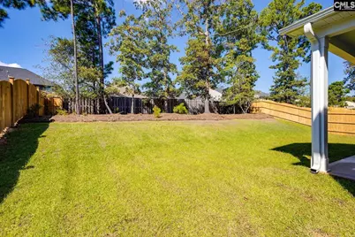 621 Falling Leaf Lane, Chapin, SC 29036 - Photo 38