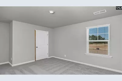 430 Leathertree Lane, Blythewood, SC 29016 - Photo 26