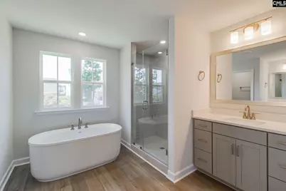 625 Falling Leaf Lane, Chapin, SC 29036 - Photo 24