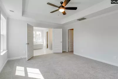 625 Falling Leaf Lane, Chapin, SC 29036 - Photo 14
